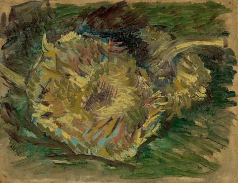 Vincent Van Gogh Foundation Van Gogh painted 11 canvases focussed on sunflowers, experimenting with different colour combinations (Credit: Vincent Van Gogh Foundation)